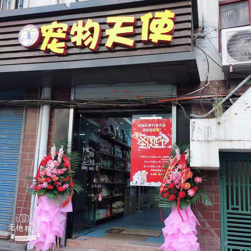 宠物天使(旧王府路)