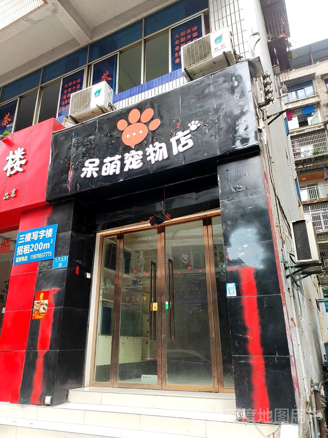 呆萌宠物店