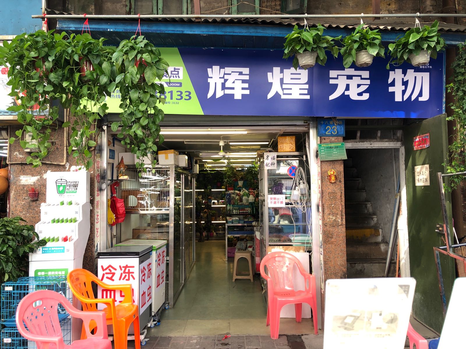 辉煌宠物