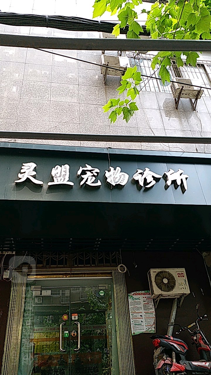 灵盟宠物诊所
