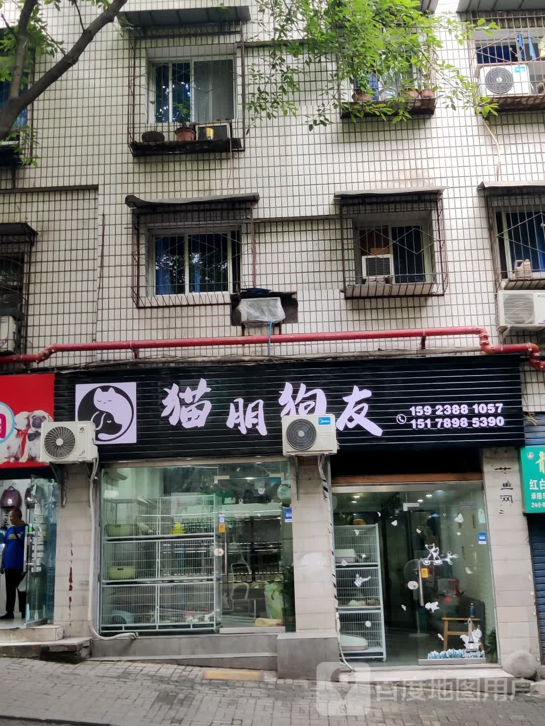 猫朋狗友