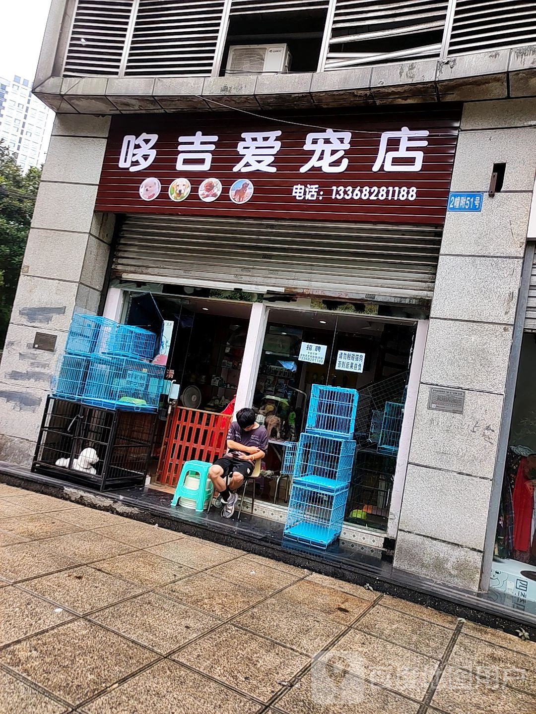 哆吉爱宠店